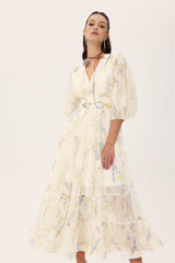 Stephanie Birds Printed V-neck Midi Dress