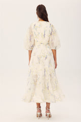 Stephanie Birds Printed V-neck Midi Dress