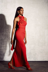 Moira Halter Floral Applique Maxi Dress