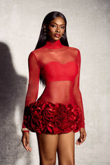 Sally Mock Neck Sheer Mini Dress