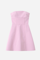 Truda Big Bowknot Tube A-line Mini Dress