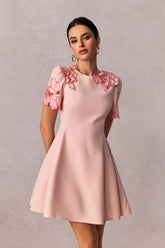 Moira Floral Embroidered Short Sleeve Mini Dress