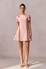 Moira Floral Embroidered Short Sleeve Mini Dress