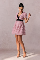 Amelia Rose Embellished V-neck Mini Dress