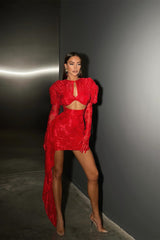 Myra Long Sleeve Cutout Draped Mini Dress