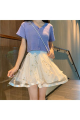 Preppy Mesh Floral Mini Skirt