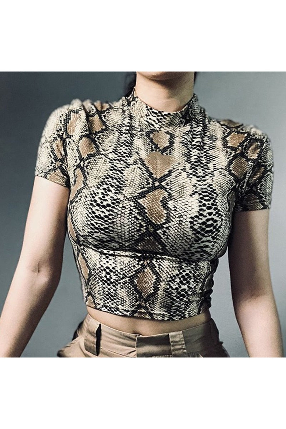 Snake Print Crop Top